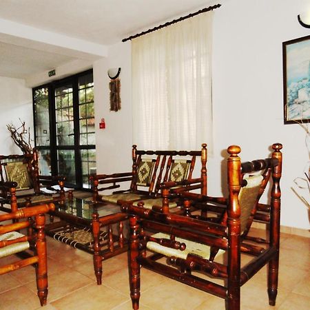 בנסקו Hotel Teddy House מראה חיצוני תמונה